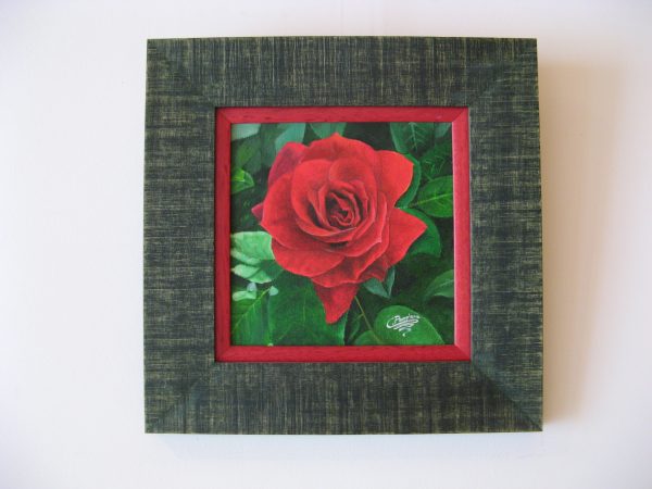 Cuadro realista en oleo sobre tablilla de una rosa roja