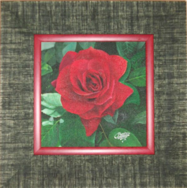 Cuadro realista en oleo sobre tablilla de una rosa roja