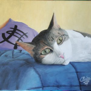 Cuadro realista y personalizado, de un gato descansando, y pintado a mano con pinturas al óleo sobre lienzo.