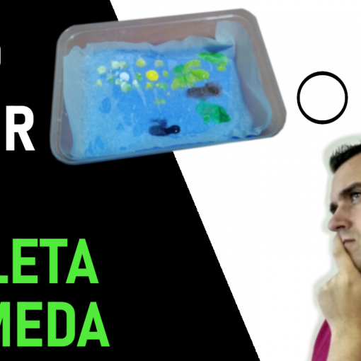 como hacer paleta humeda para mantener fresca y tierna la pintura acrilica2